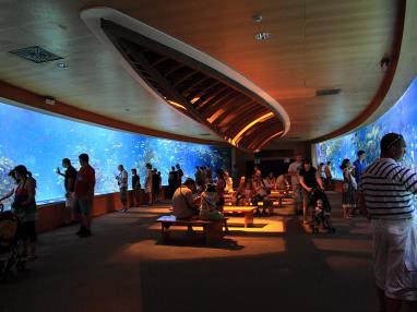 oceanográfico interior.jpg